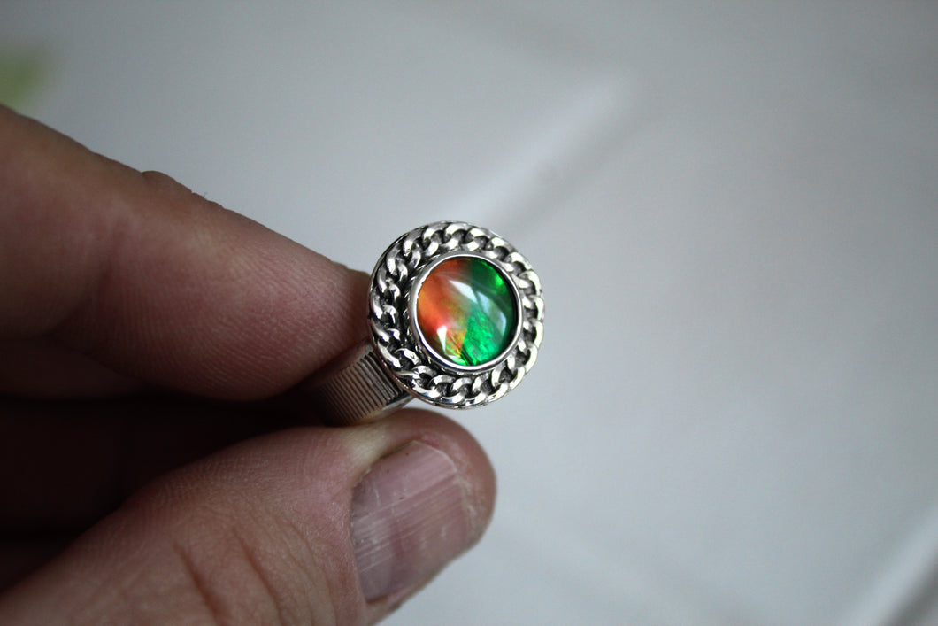 Ammolite Chain Ring