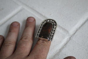Petrified Mahogany Ring